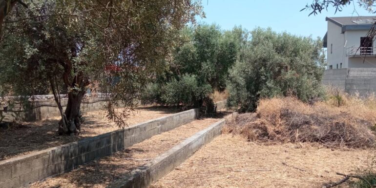 20260114152031-1017190-12