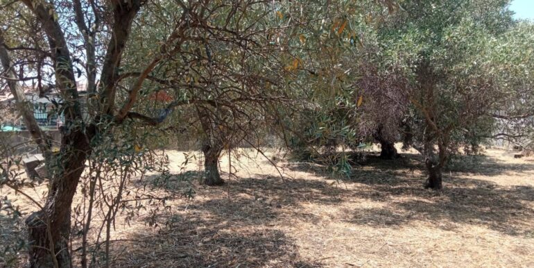 20260114152031-1017190-13