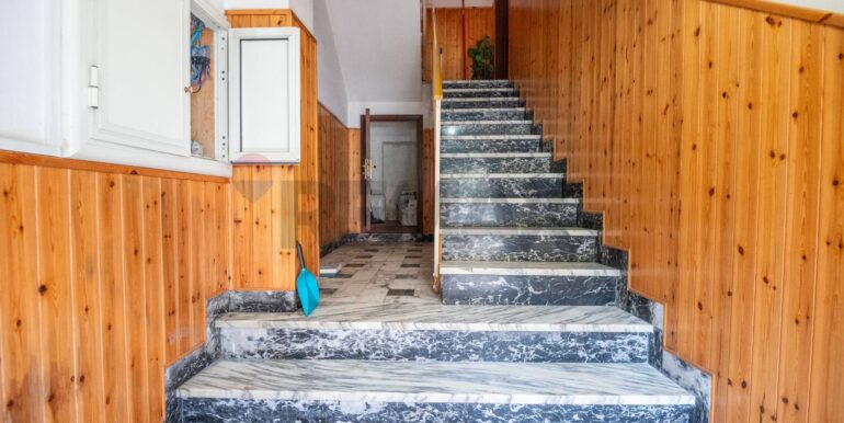 2026011493717-1016822-7