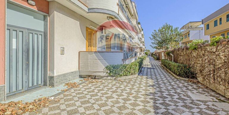 20260115113036-1017632-3