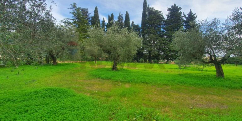 20260115120426-1017251-2