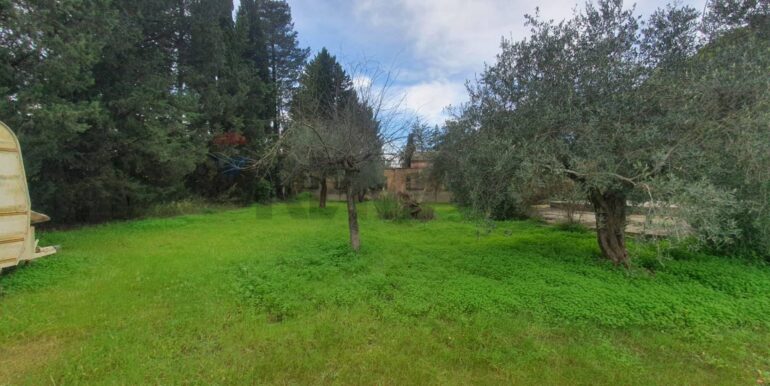 20260115120430-1017251-3