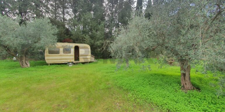 20260115120438-1017251-5