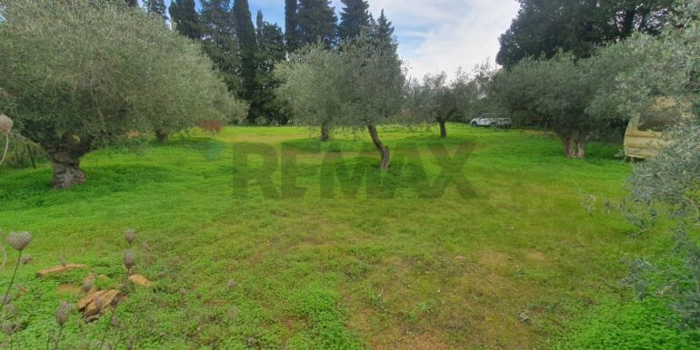 20260115120443-1017251-6