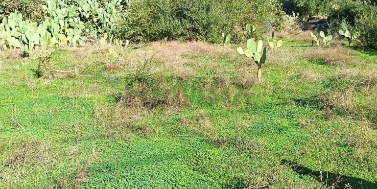 20260115150755-1016372-2