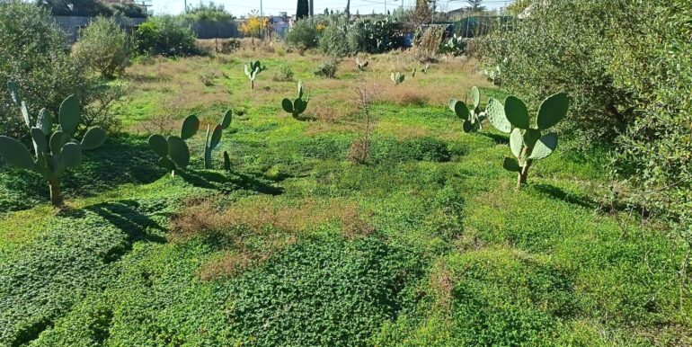 20260115150819-1016372-7