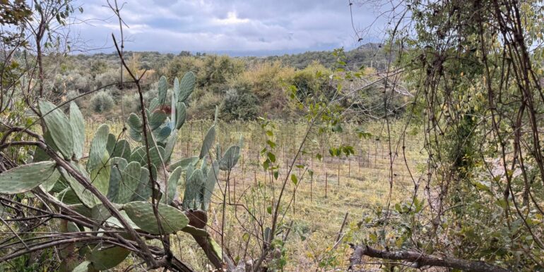 20260115155527-1017739-0