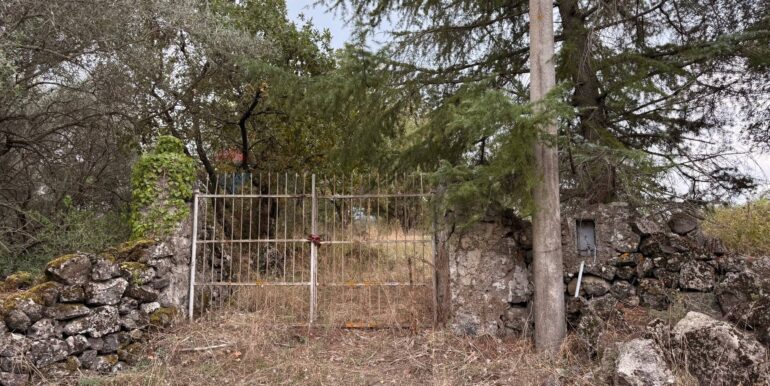 20260115155528-1017739-4