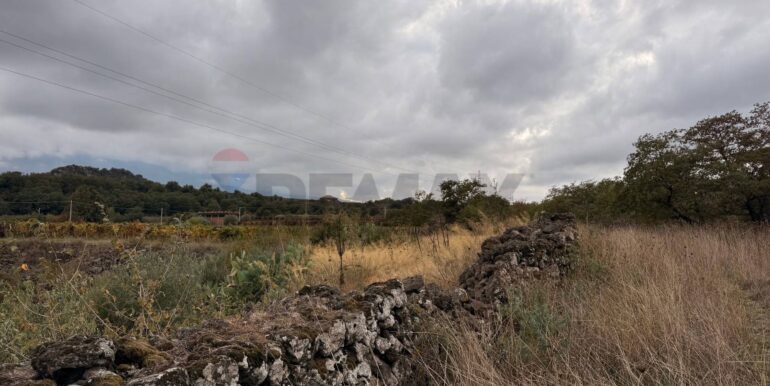 20260115155529-1017739-6