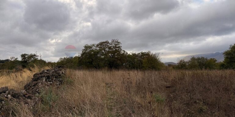 20260115155529-1017739-7