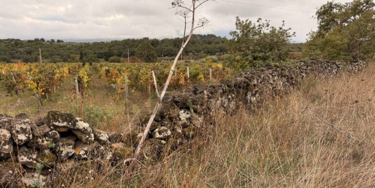 20260115155530-1017739-9