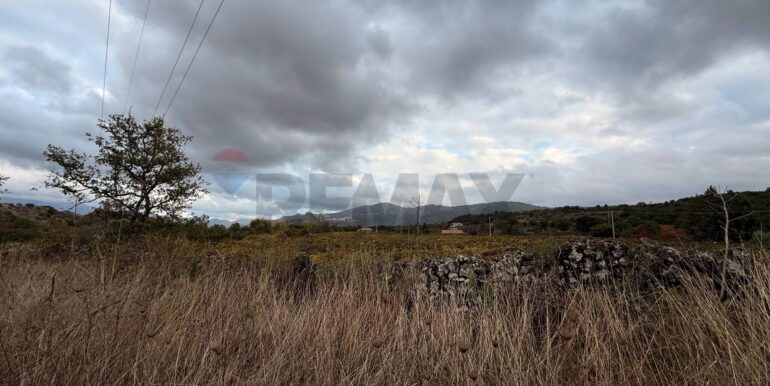 20260115155531-1017739-11