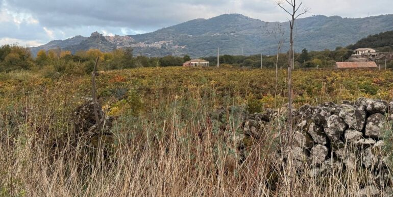 20260115155531-1017739-12