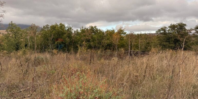 20260115155532-1017739-13