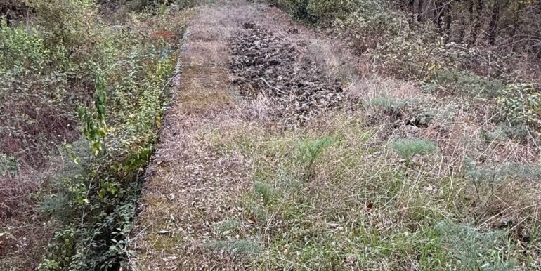 20260115155532-1017739-14