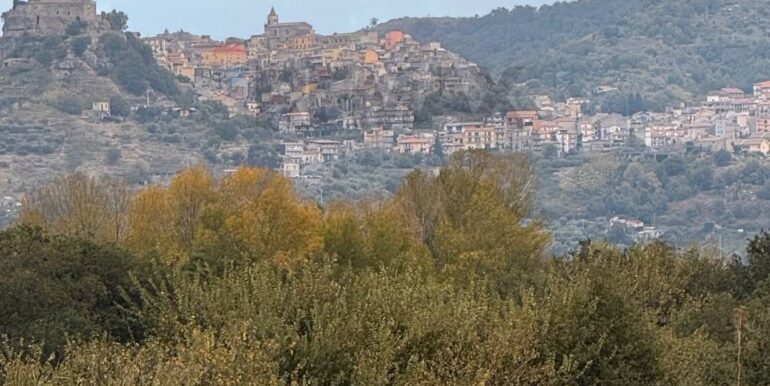 20260115155532-1017739-15