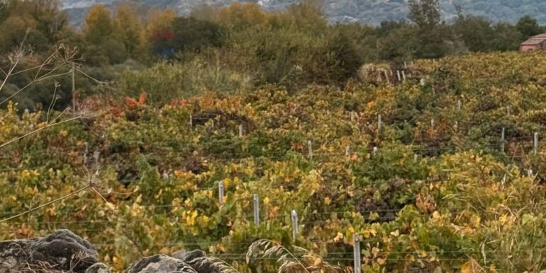 20260115155533-1017739-16