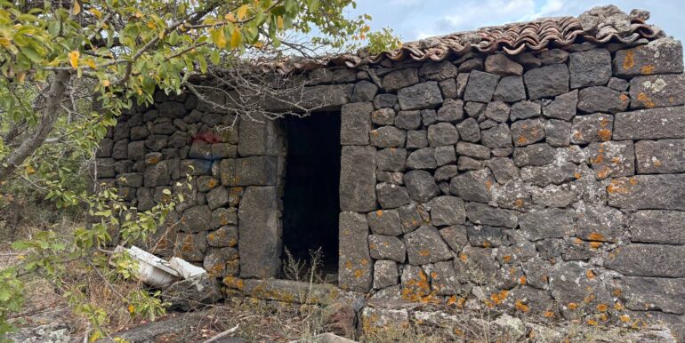 20260115155533-1017739-17