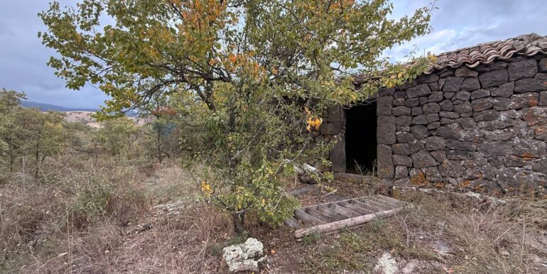 20260115155534-1017739-18