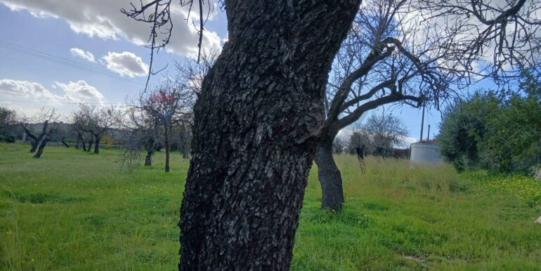 20260115171951-1017757-1