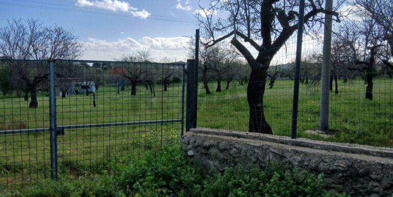 20260115171957-1017757-2