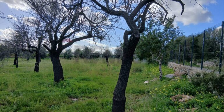 20260115172009-1017757-4