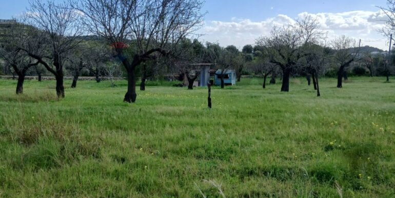 20260115172014-1017757-5