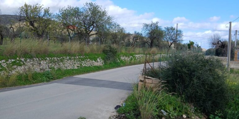 20260115172029-1017757-8