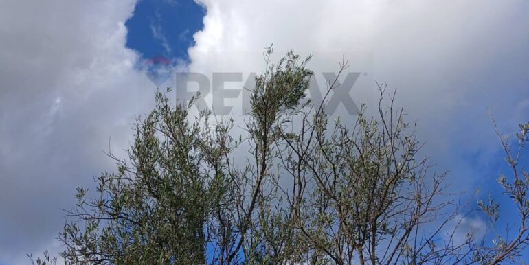 20260115172054-1017757-13