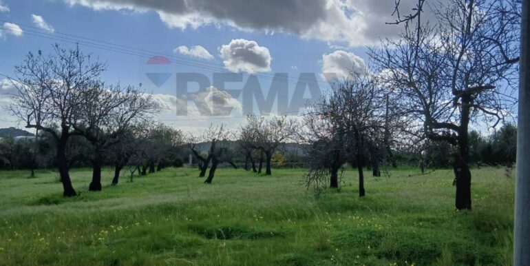 20260115172059-1017757-14