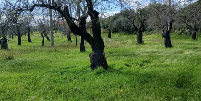 20260115172104-1017757-15