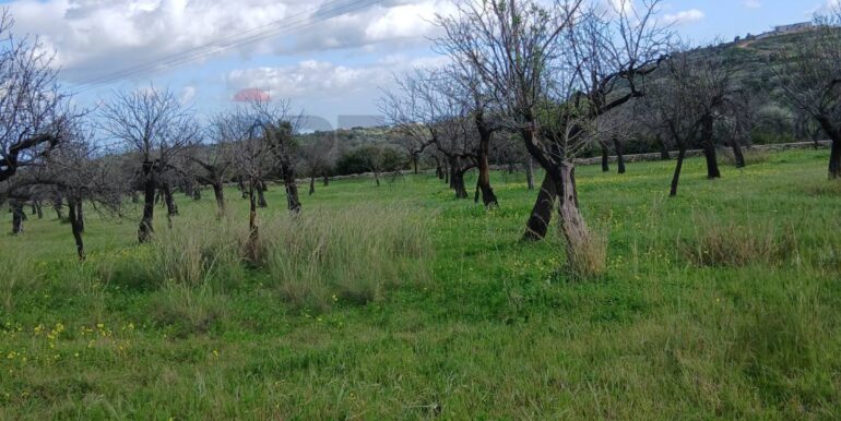 20260115172115-1017757-17