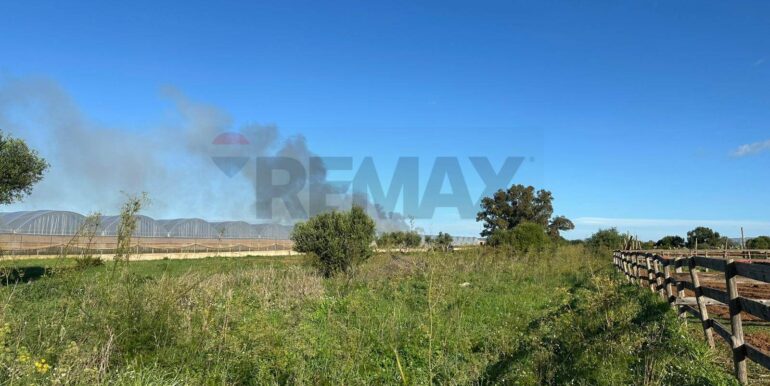 20260115182004-1017798-1