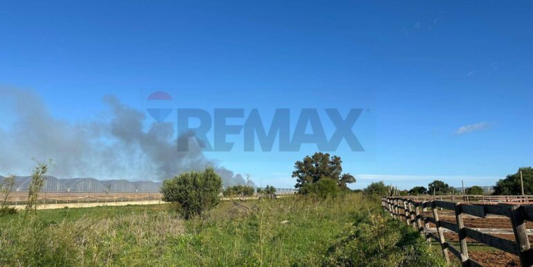 20260115182008-1017798-2