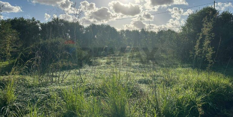 20260115182011-1017798-3