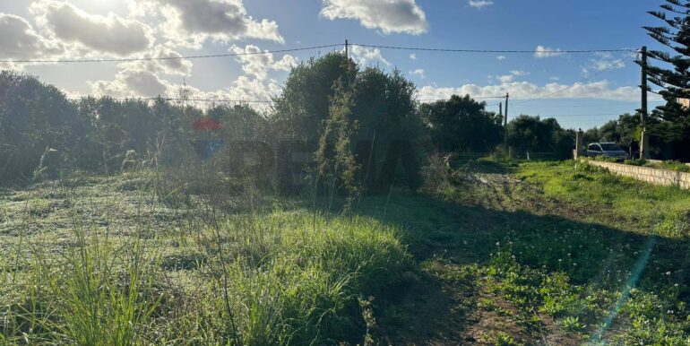 20260115182014-1017798-4