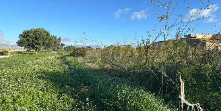 20260115182017-1017798-5