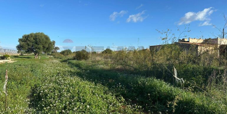 20260115182020-1017798-6