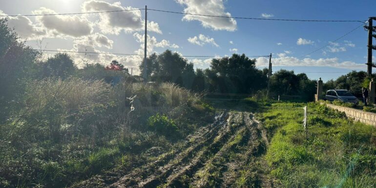 20260115182023-1017798-7