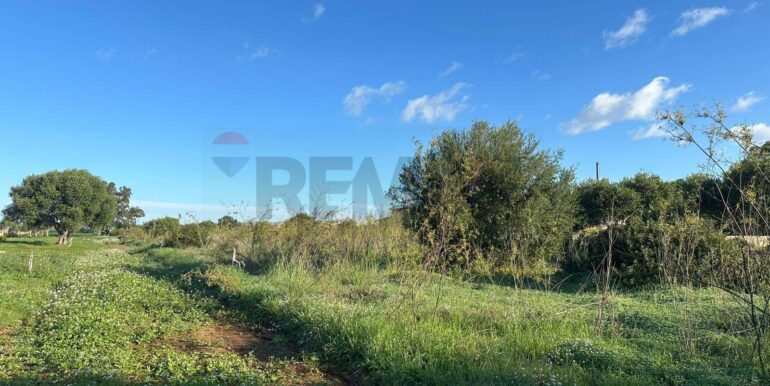 20260115182029-1017798-9