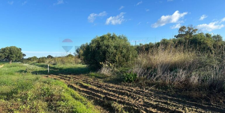 20260115182032-1017798-10