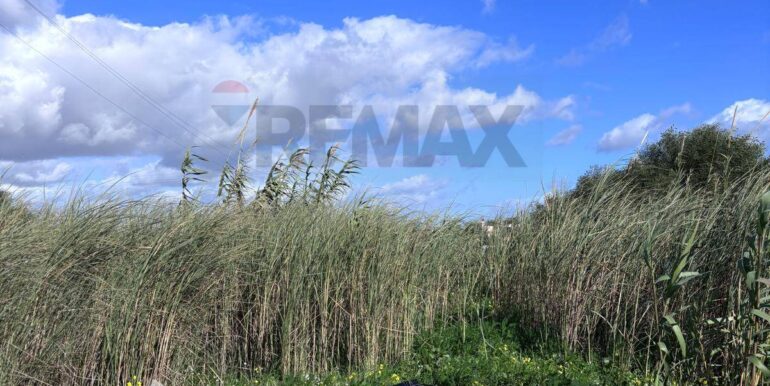 20260115185112-1017813-8