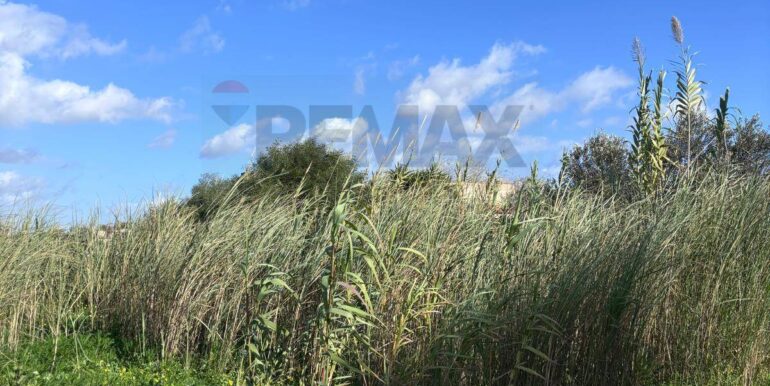 20260115185117-1017813-10