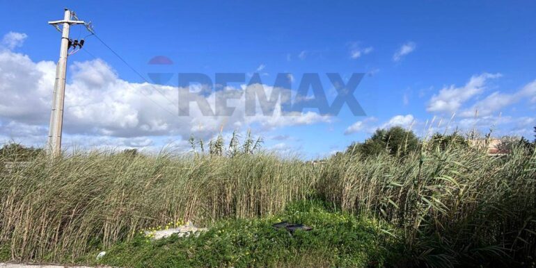 20260115185119-1017813-11