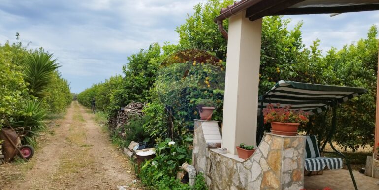 20260116122752-1017918-19