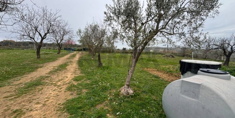 20260116181558-1018022-2