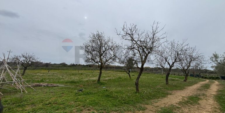 20260116181604-1018022-3