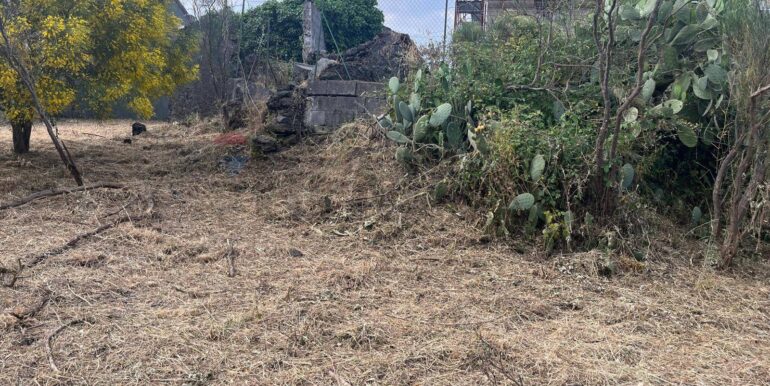 20260116194309-1018172-1