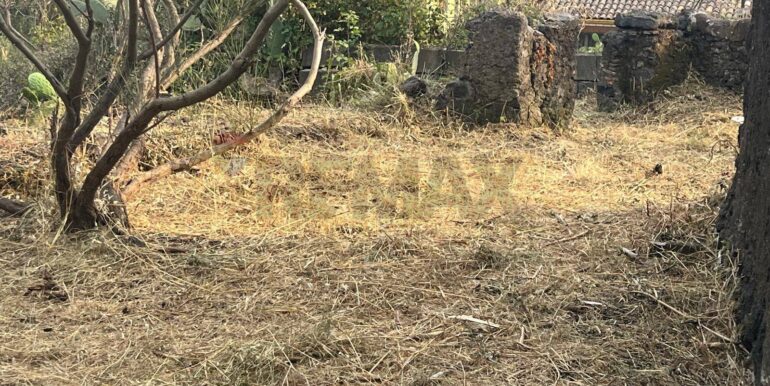 20260116194313-1018172-2