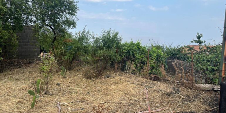 20260116194319-1018172-4